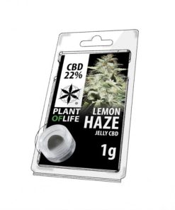 Lemon Haze jelly CBD 22%