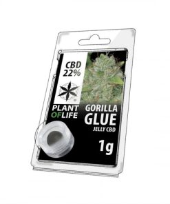 Gorilla Glue jelly CBD 22%