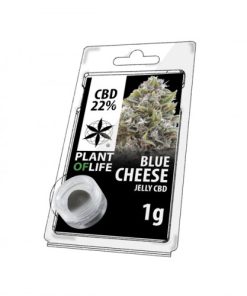 Blue Cheese Jelly CBD 22%