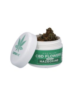 Cannaline Premium CBD Flowers Hazeoxine