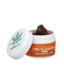 Cannaline Premium CBD Flowers Orangeline