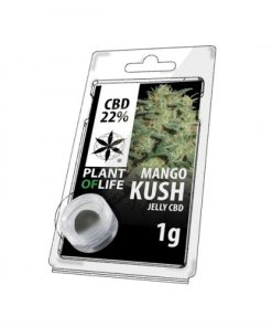 Mango Kush Jelly Hash CBD 1G