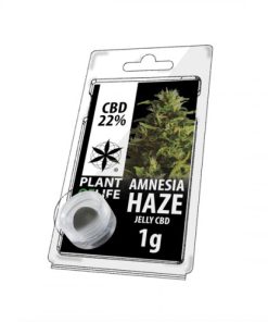 Amnesia Haze Jelly Hash CBD