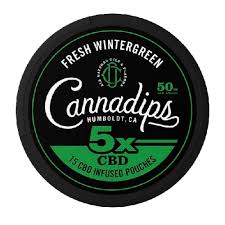 CannaDips Fresh Wintergreen Flavor 10 mg - 5x 15 CBD pouches