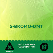 Alternative view of 5-BROMO-DMT