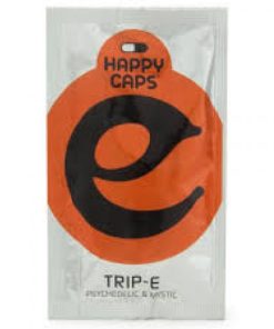 Alternative view of Trip-E